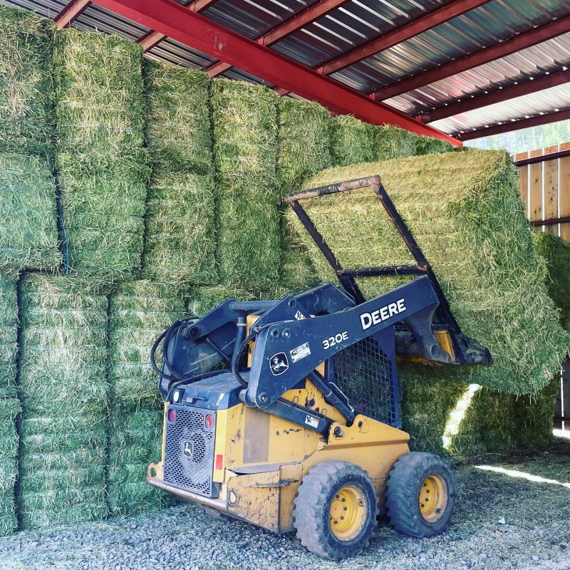 alfalfa Gold Creek Farms