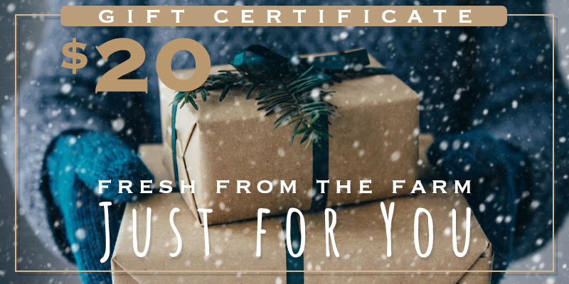 $20 gift certificate - gift